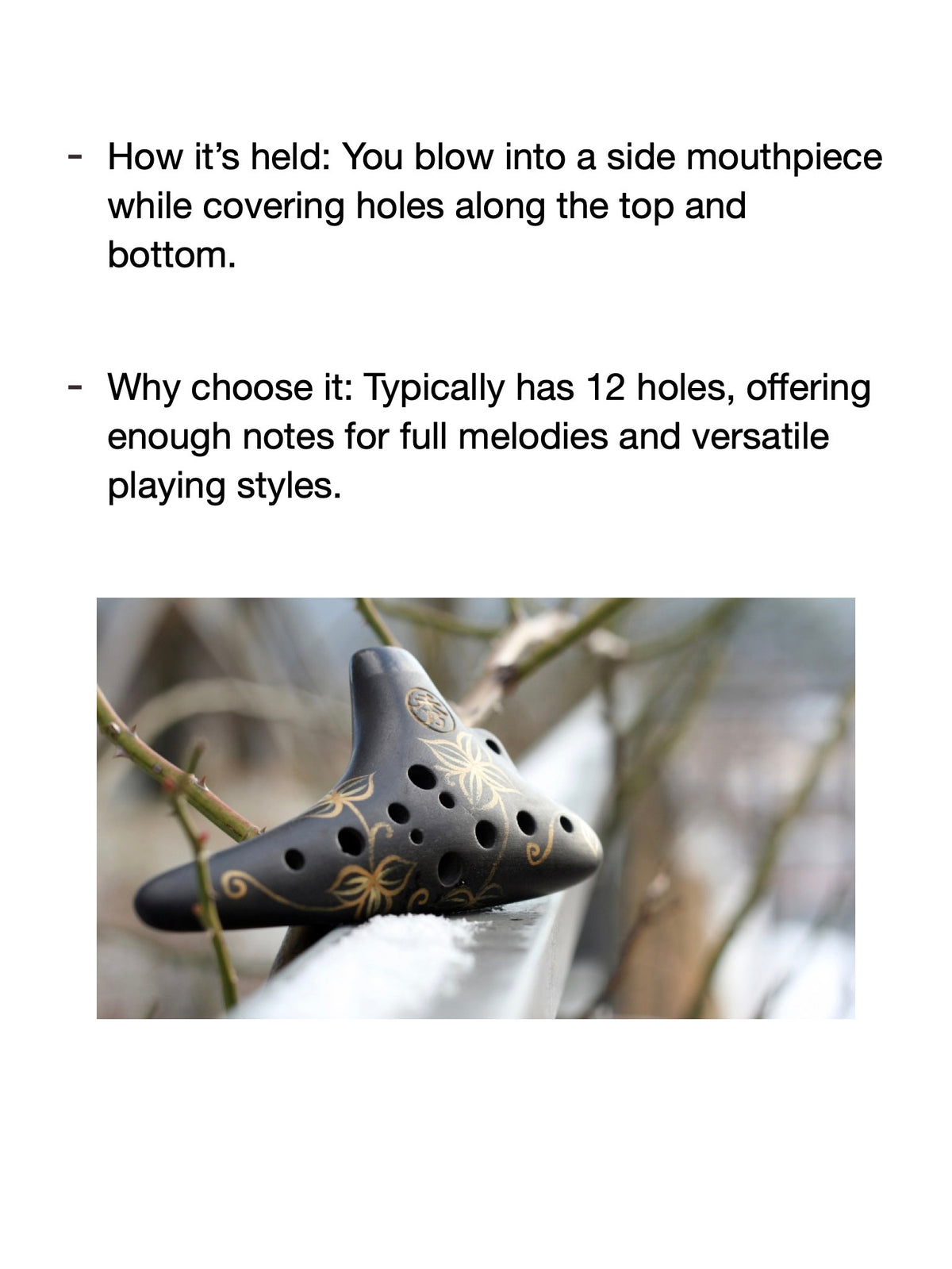 Ocarina with text explaining how to hold it and its features