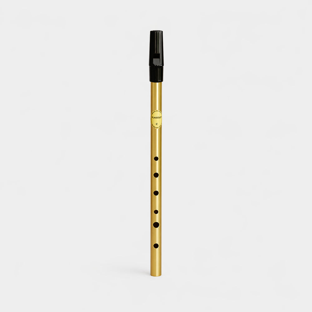 Feadog brass Irish whistle flute tuned to C