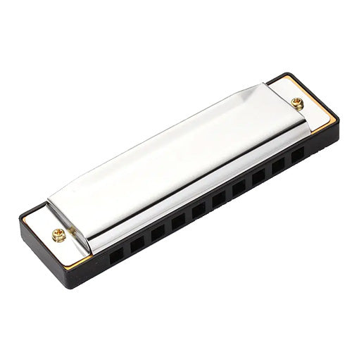 unboxed harmonica 10 hole