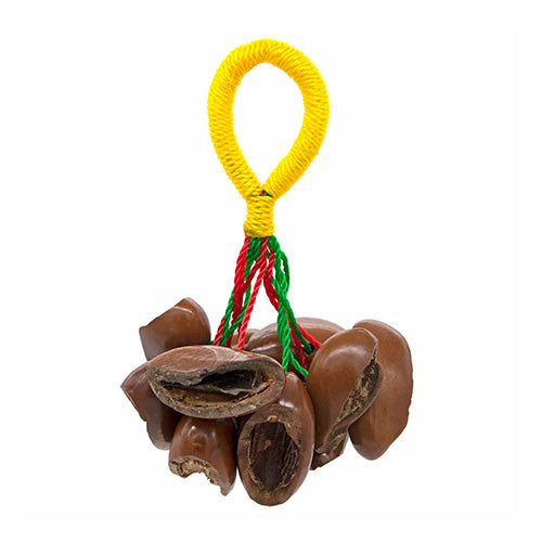 yellow rope handle with kola nuts