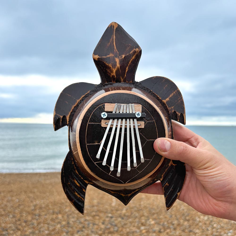 coconut turtle kalimba in hand at the beach