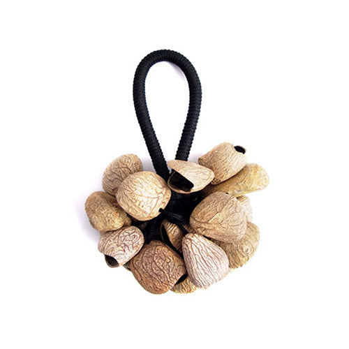 Pangi nut cluster on a black band with white background