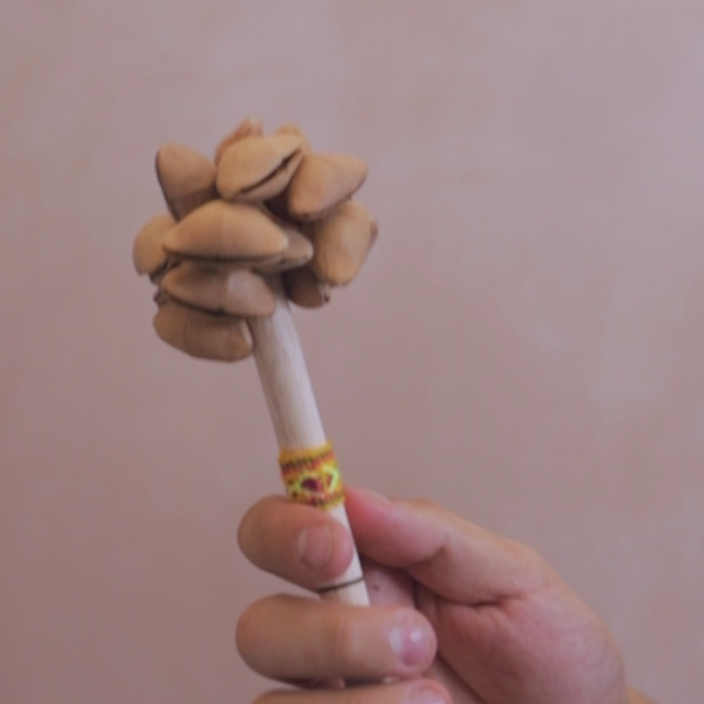 Lima nut shaker sound demonstration video