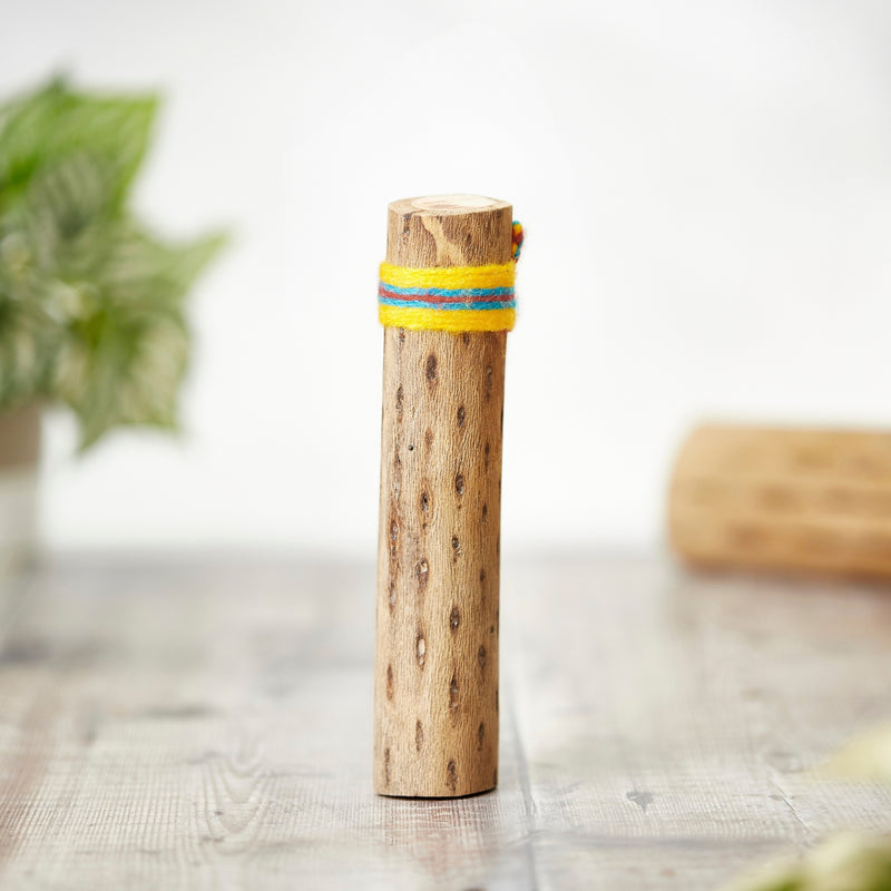 Cactus Rainstick