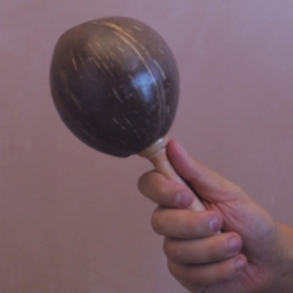 Plain coconut shell maraca sound demonstration video