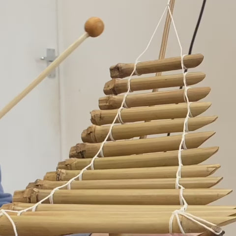 Vietnamese bamboo xylophone sound demonstration video