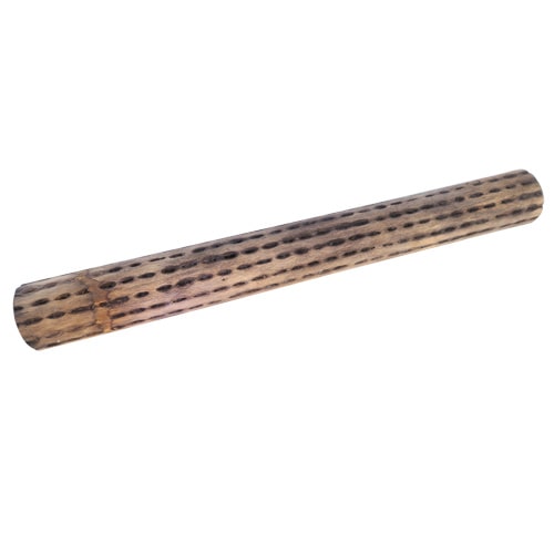 Cactus Rainstick