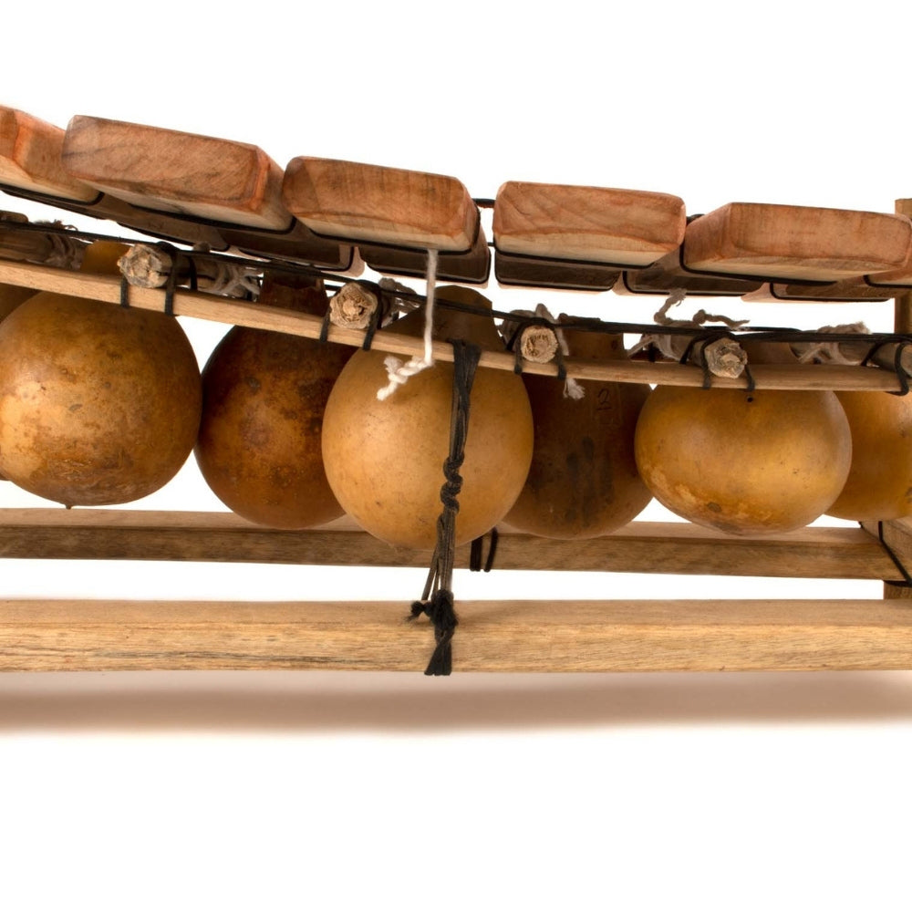 Balafon xylophone suspended gourds