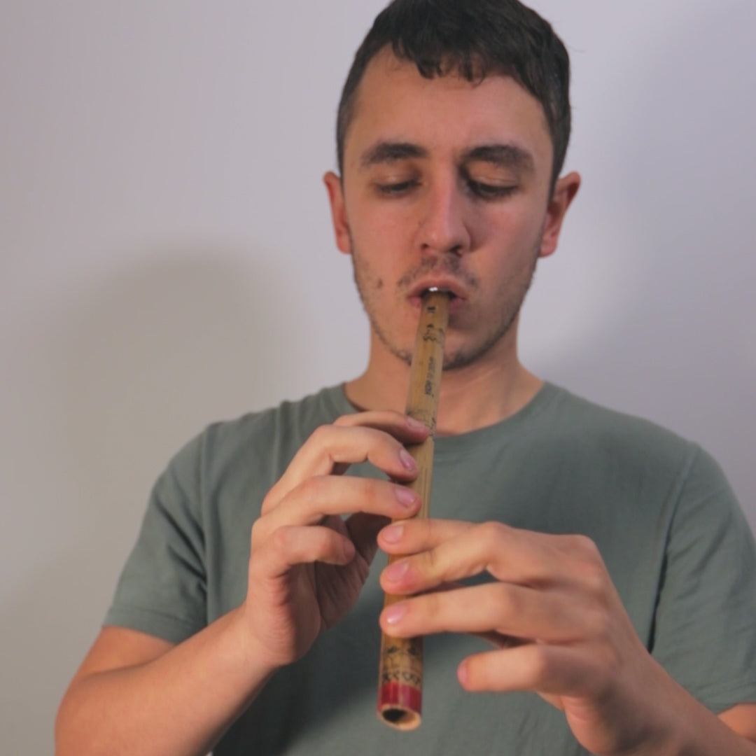 indian bamboo flute sound demo video