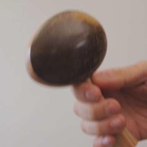coconut shaker on wooden stick sound demonstration