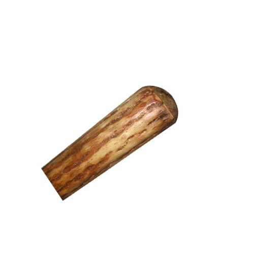 Cactus Rainstick