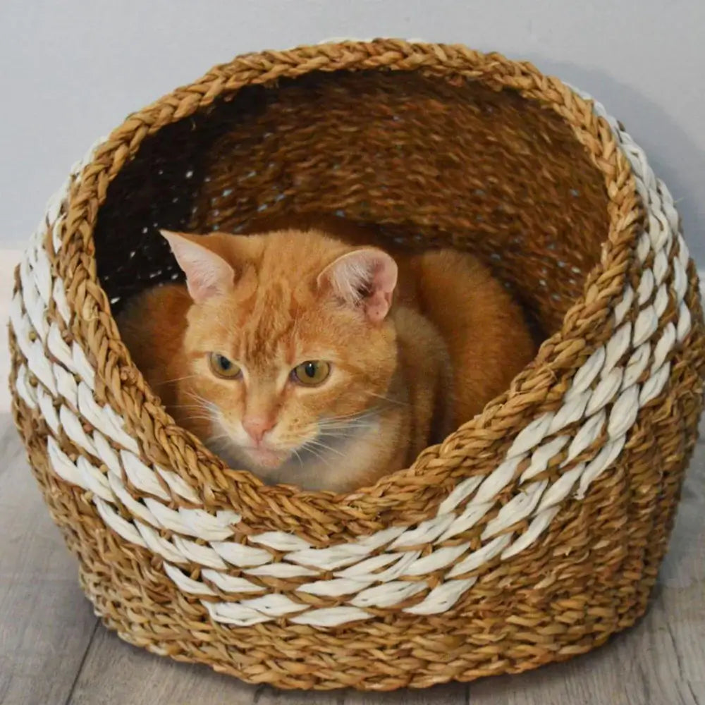 seagrass cat bed cave with ginger cat