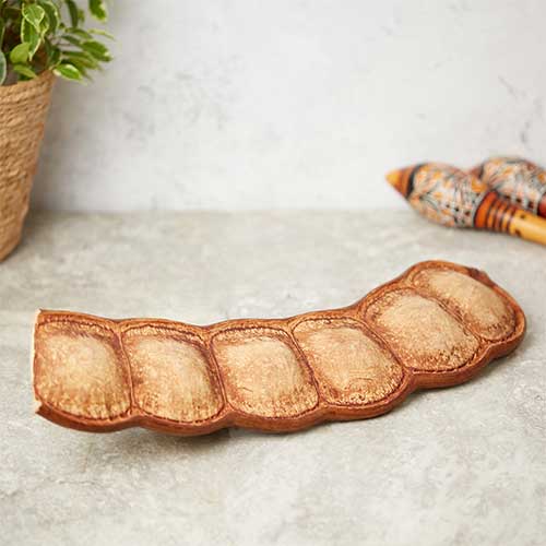 Entada Natural Seed Pod Shaker (Musical Instrument)