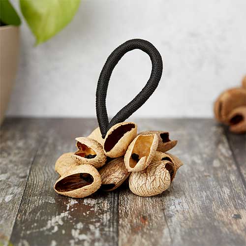 Pangi nut seed cluster on rope handle