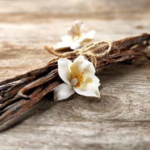 Vanilla bean pods with vanilla flowers on a wooden table