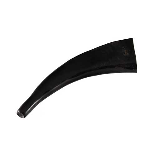 black water buffalo horn with white background